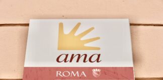 AMA-ROMA-30-IMPIEGATI-INSERIMENTO-VERIFICA-DATI-