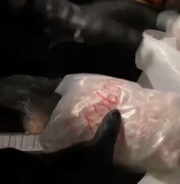 La cocaina sequestrata a Tor Bella Monaca