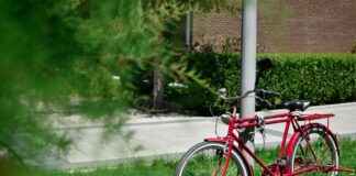 Cerveteri, via le bici abbandonate in strada: scatta l’operazione antidegrado