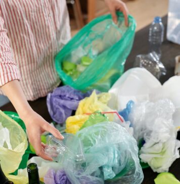Cerveteri, agevolazioni tassa rifiuti: a chi spetta e come fare domanda