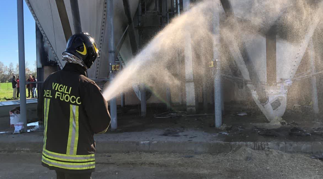 Fiumicino, va a fuoco un trattore e un capannone con balle di fieno: pompieri al lavoro (VIDEO) 4