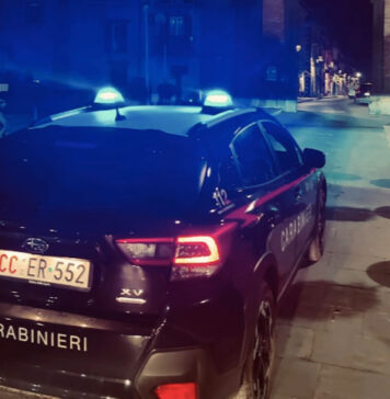 ROMA-AUTO-FRATELLI-PEZZI-SMONTANO-AUTO-DENUNCIATI-