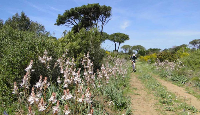 Che fare a Roma e Litorale romano nel weekend dal 2 al 4 febbraio: anche le sagre 2