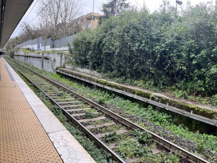 Treni, linea Pisa-Roma: circolazione rallentata per un guasto - Canaledieci.it