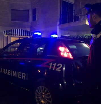 A mettere in sicurezza la donna una pattuglia dei carabinieri