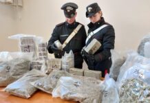 Maccarese, sequestrati oltre quaranta kg di droga in un’abitazione: un arresto