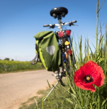 BRACCIANO-LAVORI-PISTA-CICLABILE-