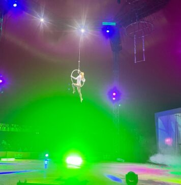 Fiumicino, grave furto al circo senza animali: l'appello tramite social - Canaledieci.it