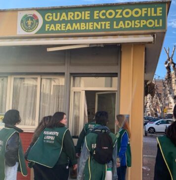 Da volontari attivi a guardie ecozoofile: il percorso di selezione e apprendimento che porta fino all'esame