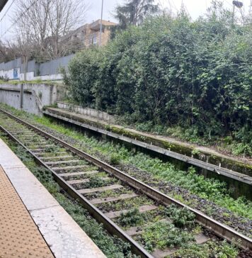 Treni, linea Roma-Napoli: forti rallentamenti per investimento animale - Canaledieci.it