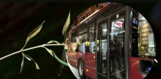 Processioni per la Domenica delle Palme: chiusure al traffico e deviazioni bus
