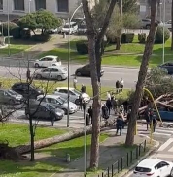 Roma, crolla un pino sulla via Cristoforo Colombo e schiaccia un'auto