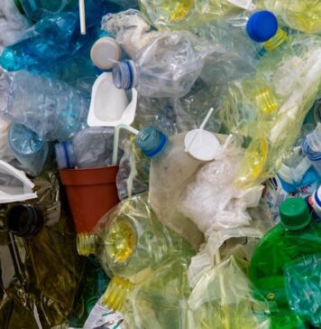 Cerveteri, i servizi aperti a Pasquetta