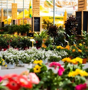 Al via il “Country Fest”: ad Acilia due giorni intensi tra natura, animazione e laboratori