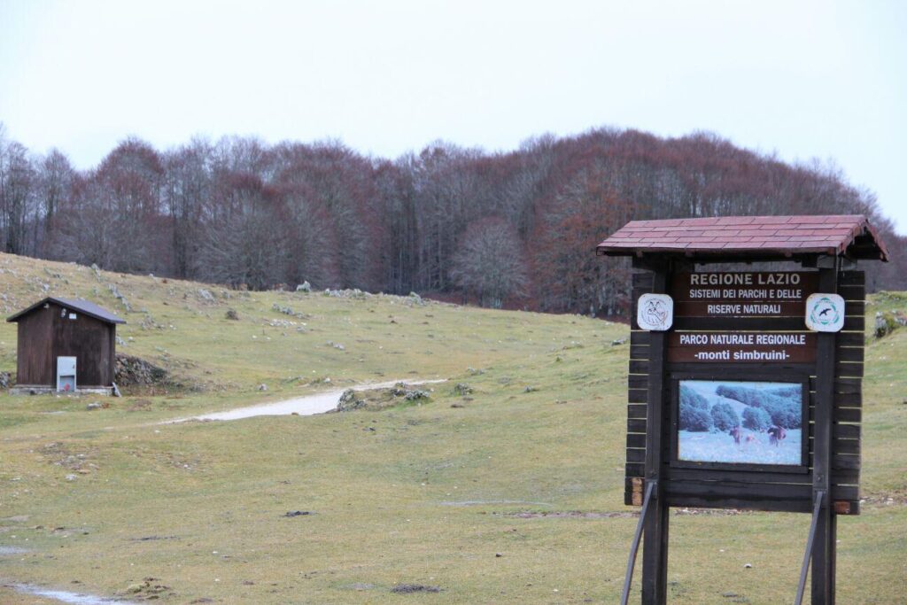 Sagra del tartufo a Cervara di Roma: il borgo degli artisti si mette a tavola 3 Gita fuoriporta a Cervara, il “Paese degli artisti”: itinerario tra borgo e natura