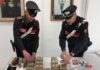 Tor San Lorenzo, trolley in cantina pieno di droga: carabinieri feriti nella colluttazione