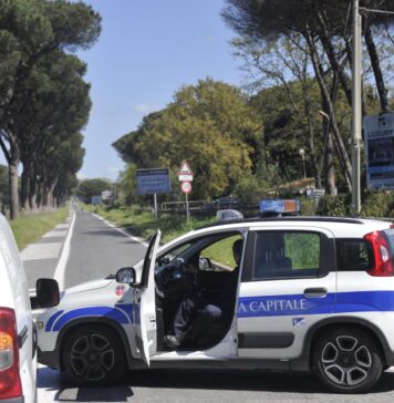 Via Cristoforo Colombo, chiude un tratto per albero pericolante