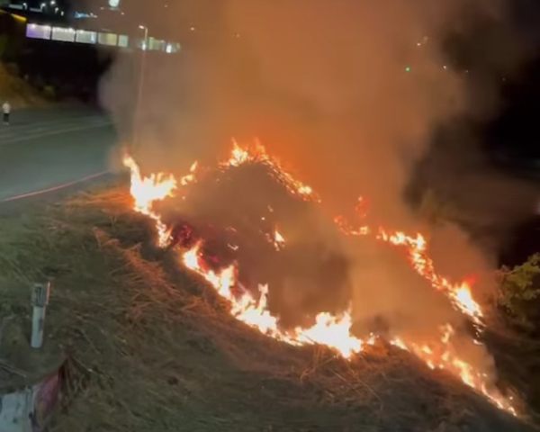 Vasto incendio sul Lungotevere: fiamme esplose nella zona dello Stadio Olimpico (VIDEO) 1