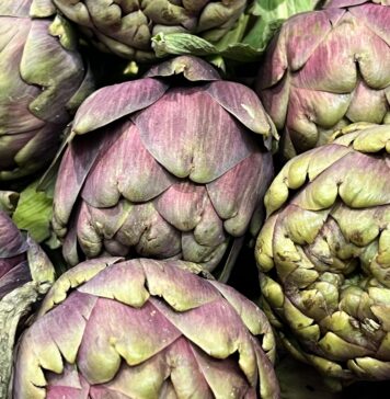 Ladispoli, Sagra del Carciofo Romanesco: i divieti per gli alcolici