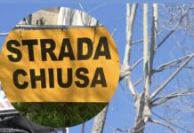 Il cedimento improvviso ha sbarrato la carreggiata in direzione via Prenestina, tra via del Pergolato e via dell'Incoronata. Traffico bloccato e deviazioni obbligatorie su via dei Meli per i rilievi e la rimozione del tronco