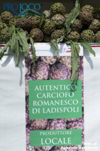 Ladispoli, tutto pronto per la Sagra del Carciofo Romanesco: degustazioni e menù a prezzi speciali
