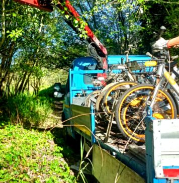 Bici abbandonate nel lungotevere