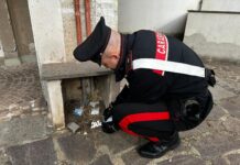 Roma, gli ultimi nascondigli della droga: trappole per topi, immondizia, contatori elettrici