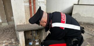 Roma, gli ultimi nascondigli della droga: trappole per topi, immondizia, contatori elettrici