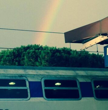 Trasporti, Carta Tutto treno: tutte le novità e le tariffe