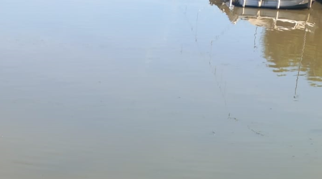 Ostia, liquami nelle acque del Canale dei Pescatori: cittadini disgustati dalla puzza nauseabonda 1