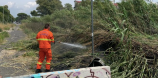 MADONNETTA-INCENDIO-SI-TEME-DOLO-PARCO-MASSIMO-DI-SOMMA-