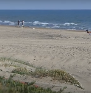 LUNGOMARE-ARDEA-OFF-LIMITS-DIVIETO-BALNEAZIONE-4-CHILOMETRI-COSTA
