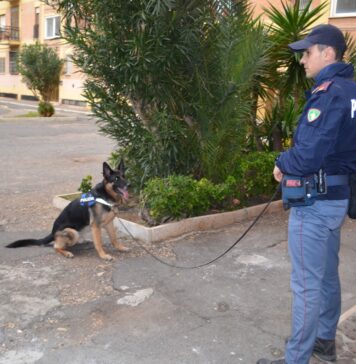 Ostia, corsa folle per sfuggire alla Polizia: tenta di investire agente e travolge scooter