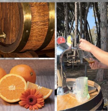 Sagre e feste nel Lazio dal 24 al 26 maggio: itinerario tra i sapori locali, dal prugnolo allo gnocco fritto, passando per gelati alla carota e birre artigianali