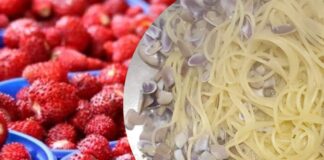 Sagre e feste paesane dal 31 maggio al 2 giugno: dentro i sapori locali tra telline, fragole, lattarini e vini di qualità