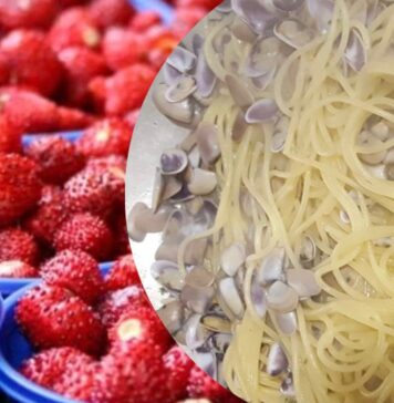 Sagre e feste paesane dal 31 maggio al 2 giugno: dentro i sapori locali tra telline, fragole, lattarini e vini di qualità