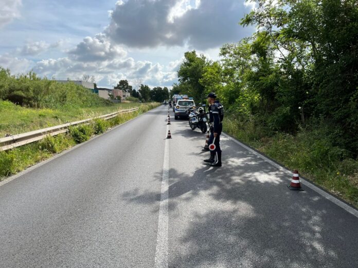 L'albero colpito dall'auto su via dei Romagnoli