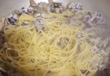 Ecco il programma della Sagra della Tellina di Ostia 2026: spaghetti, frittura, soute’, cover e cabaret per tutti Dieci giorni di festa sul litorale romano per la sagra della tellina di Ostia, organizzata dal Comitato di Quartiere Borghetto dei Pescatori con musica dal vivo, tradizione e la storica processione in mare