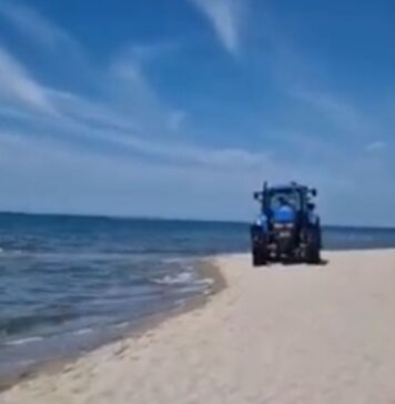 A Capocotta trattori tra i bagnanti mentre i chioschi restano chiusi e non c'è il servizio di salvamento (VIDEO)