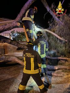Santa Marinella, fuga di gas dopo il crollo di un albero