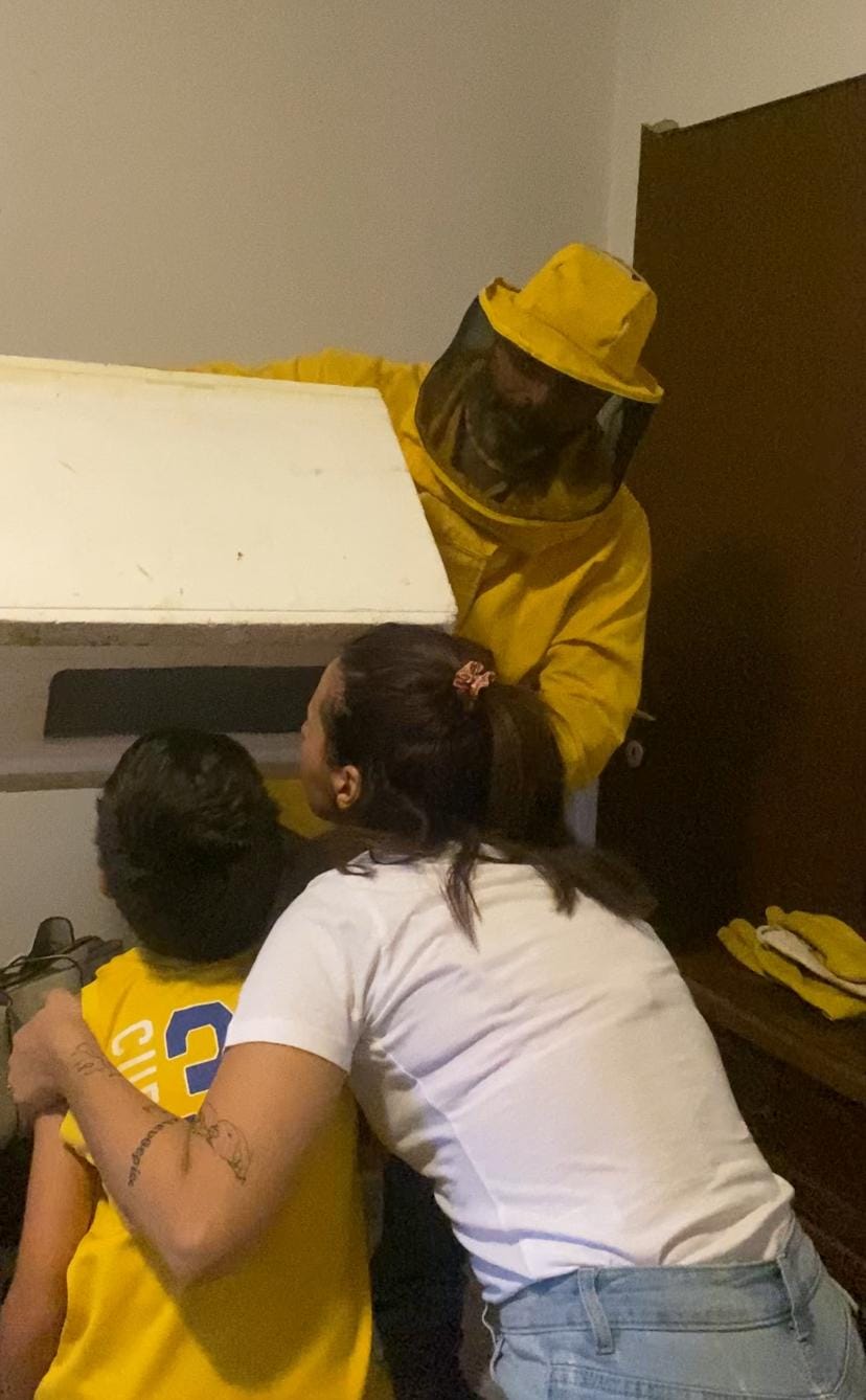 Roma, api invadono una casa: la rimozione fai da te finisce male. Famiglia salvata da TikTok (VIDEO) 2