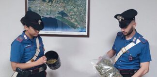 Nettuno, arrestato spacciatore con oltre tre chili di droga