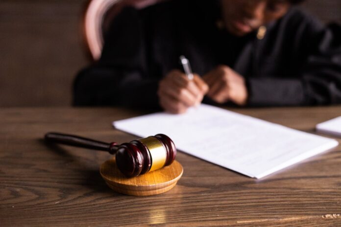 Civitavecchia, il Comune cerca avvocati: come inviare la candidatura