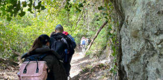 CASTELLI-ROMANI-CAMMINO-TRANSUMANZA-