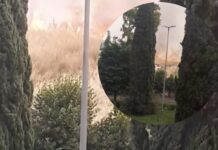 Roma, incendio Nuovo Salario: paura per fiamme alimentate dal vento