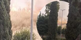 Roma, incendio Nuovo Salario: paura per fiamme alimentate dal vento