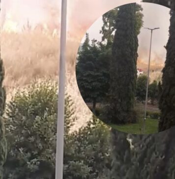Roma, incendio Nuovo Salario: paura per fiamme alimentate dal vento