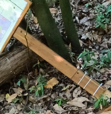 DANNI-BOSCO-VALCANNETO-GUBETTI-