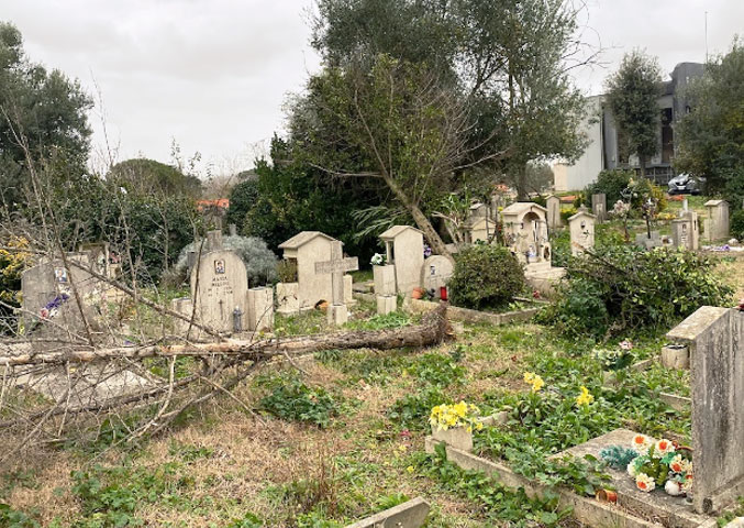 Roma, anziani rapinati mentre portavano i fiori al cimitero: ferito il 77enne 1