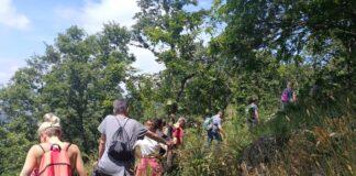 Trekking e raccolta erbe al Parco dei Castelli: aspettando la Notte delle streghe